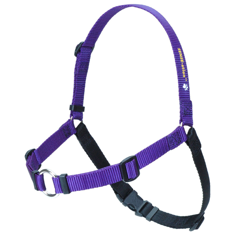 Sense-Ation No-Pull Hundegeschirr (Lila, M/L, Schmal) Von Sense-Ation Harness-image