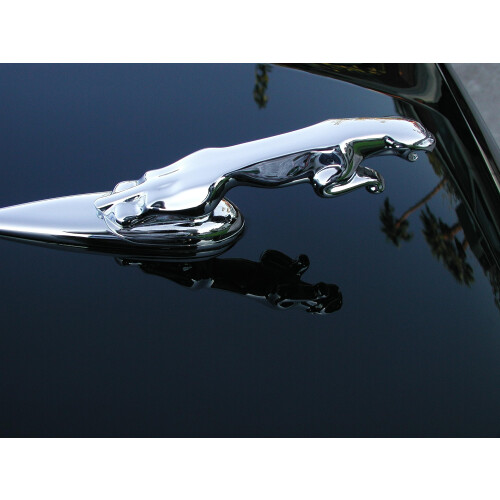 P21S 12700W Carnaubavoks 2
