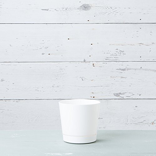 Vaso Cilíndrico Redondo Majestic Brilhante Branco, 8 Polegadas (10082) 2
