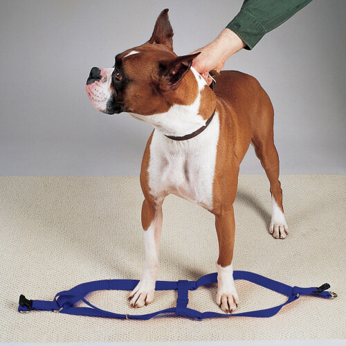 Ham pentru animale de companie Guardian Gear 2 Step 1