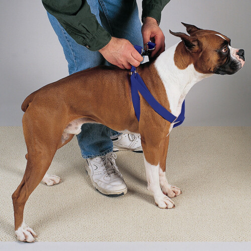 Ham pentru animale de companie Guardian Gear 2 Step 2