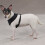 Afslappet hunde mesh hunde sele stor sort 2