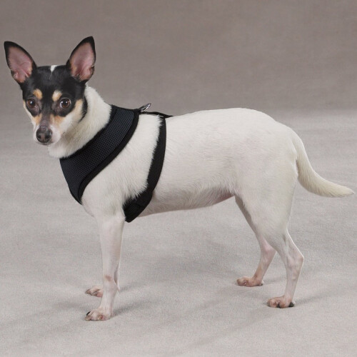 Afslappet hunde mesh hunde sele stor sort 1