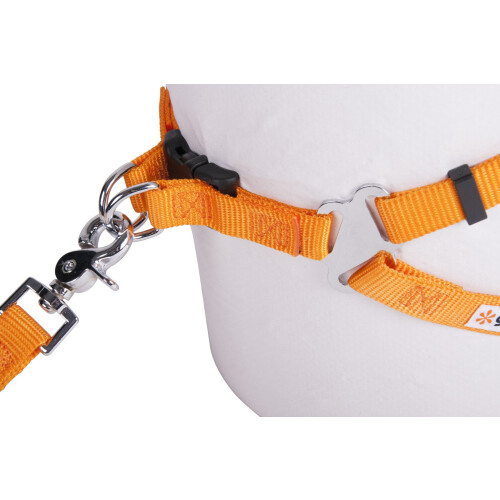 GOGO PET PRODUSE 1