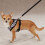 East Side Collection Polyester Plush Zebra-Print Dog Harness Medium 3