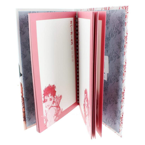 Terada Cover Girls Journal 1