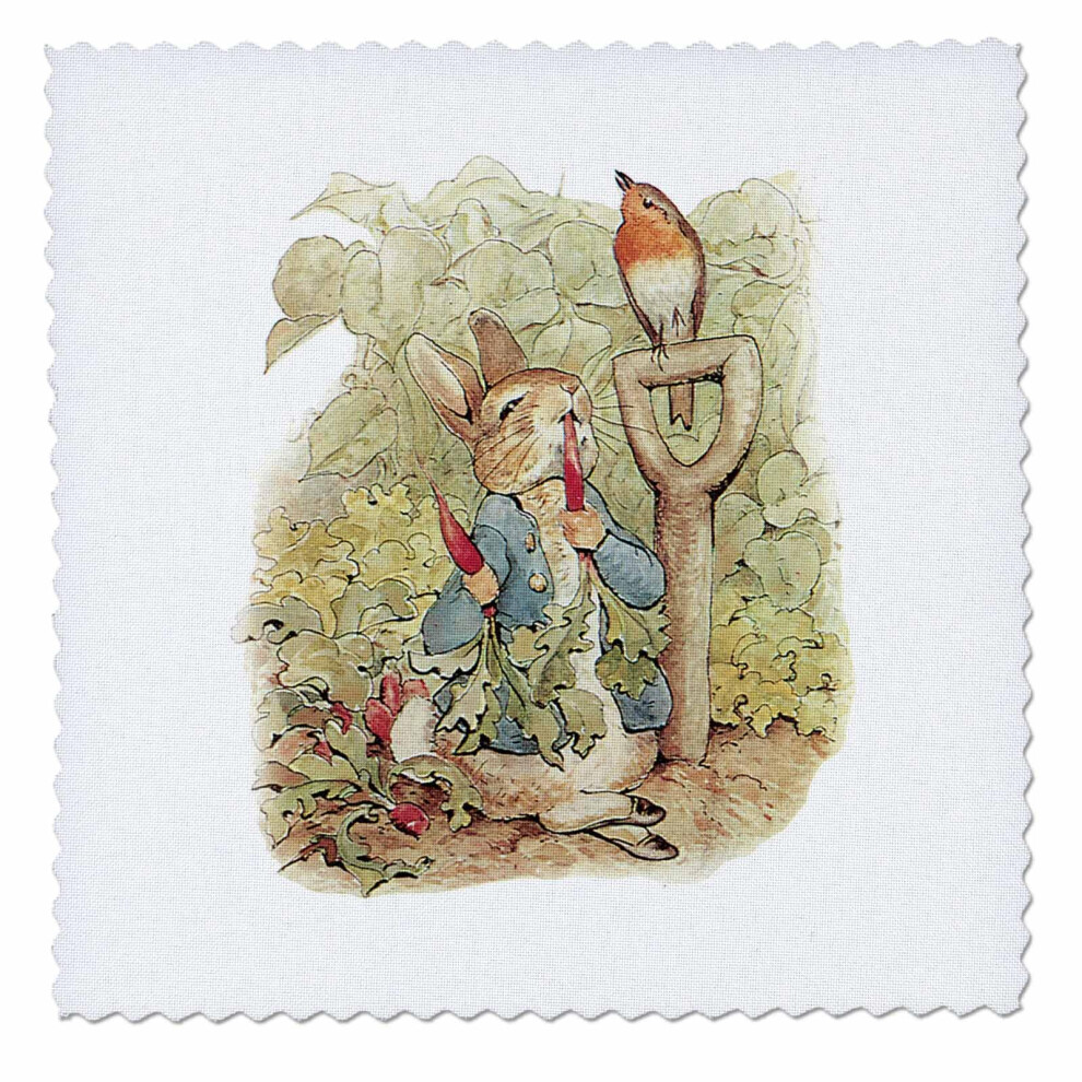 3Drose Llc Qs_110164_3 Quilt Square 8 Bij 8 Inch Peter Rabbit In De Tuin - Vintage Kunst-image