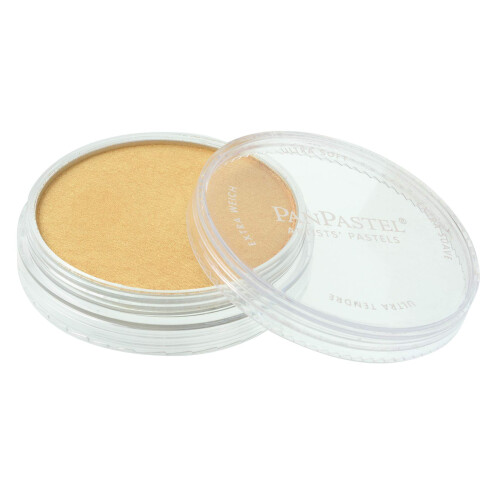 PanPastel 29105                                                                                               910.5 9ml 2
