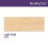PanPastel 29105                                                                                               910.5 9ml 4