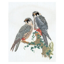 Thea Gouverneur - Kit de ponto cruzado contado - Falcons - Aida - 16 contagem - Kit de bordado para adultos - fios de bordado DMC e outros suprim