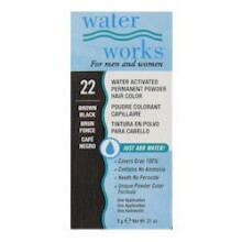 Permanente Haarfarbe in Pulverform von Water Works  Nr. 22 Braun Schwarz, 0,2 oz. (2er-Pack)