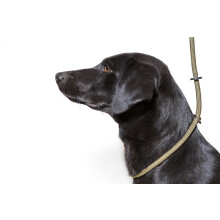 Cine ?i cmp Deluxe Gundog Nylon Slip Lead Green