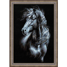RIOLIS 1494 Wind door de manen