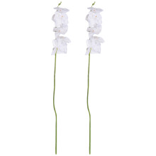 kpl 38 tuuman keinotekoisia oikeita kontaktorkideakukkakukkia 9 pään lateksi Phalaenopsis -varret itse-se-itse-hääkeskuksiin, keittiöön