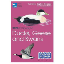 RSPB ID Spotlight - Ducks, Geese and Swans