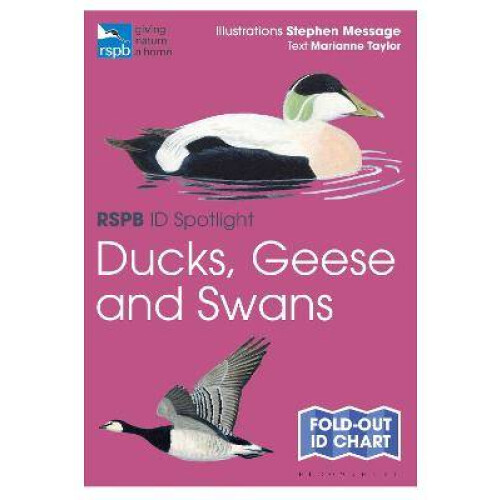 RSPB ID Spotlight - Ducks, Geese and Swans