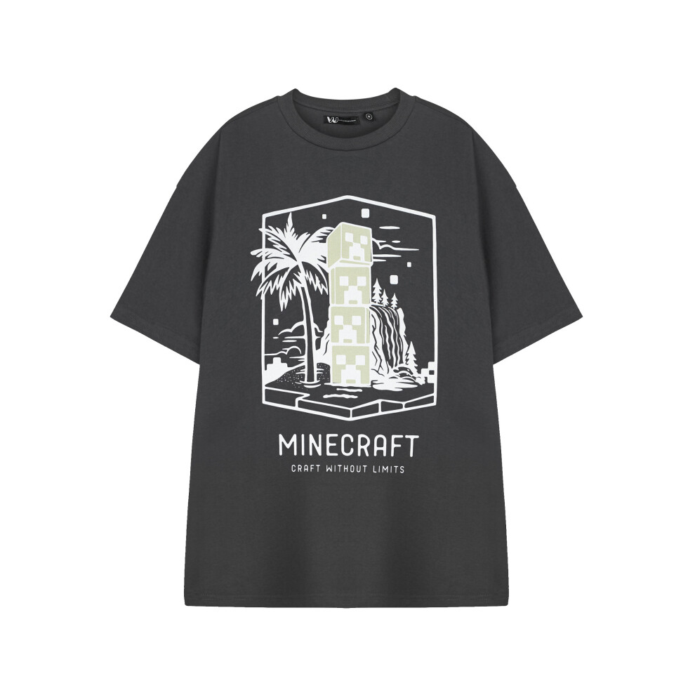 (Small) Minecraft Short Sleeved T-Shirt (Mens Grey)
