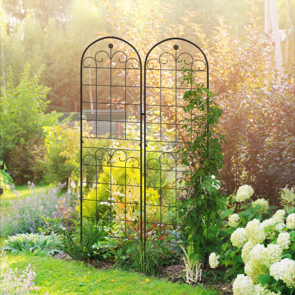 Rackhams Set Of 2 Metal Trellis For Climbing Plants, Floral Design, 50 X 180Cm - Image 4