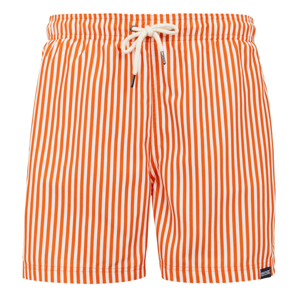 (M, Celosia Orange) Regatta Mens Loras Stripe Swim Shorts