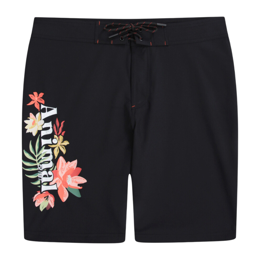 (8 UK, Black) Animal Womens/Ladies Nora Classic Boardshorts