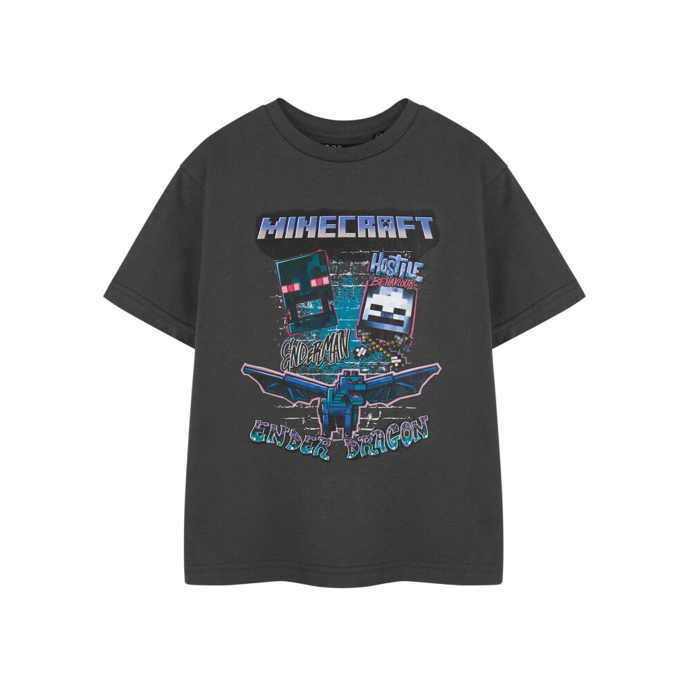 (11-12 Years) Minecraft Short Sleeved T-Shirt (Boys Grey)