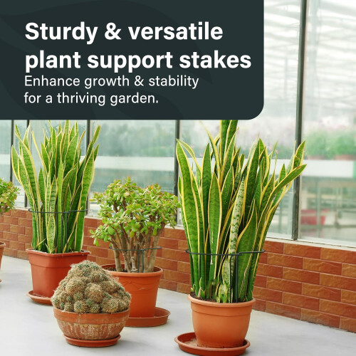 Vivo 6 Pack Plant Support Stakes 25 x 44cm Metal Plant Supports Ring Cage 1