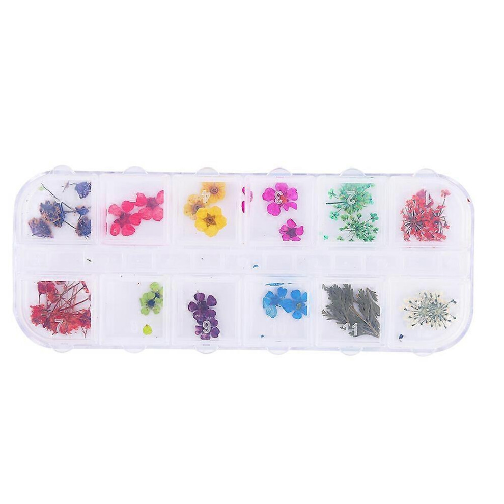 (As show, One size) 12 Colors Natural Dried Flowers for Acrylic UV Gel Nail Art Tips Design Case DIY Decoration