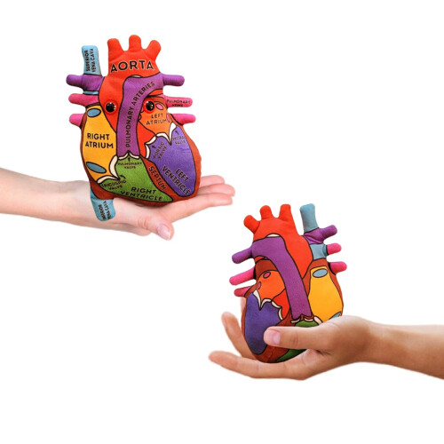 GIANTmicrobes Anatomisches Herz Plüsch, Humanes Herz Modell, Herz Anatomie Modell