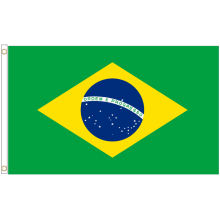(3' x 2' - 90cm x 60cm) Brazil National Polyester Flag