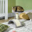 PawHut PawHut Cat Tree Scratching Post Activity Centre Climber Hanging Ball Grey 1