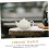 White Ceramic Teapot Set Pot with Infuser for Loose Leaf Tea Ideal 7