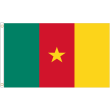 (3' x 2' - 90cm x 60cm) Cameroon National Polyester Flag
