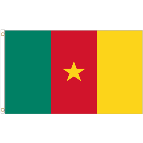 (3' x 2' - 90cm x 60cm) Cameroon National Polyester Flag
