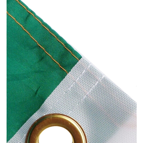 (3' x 2' - 90cm x 60cm) Cameroon National Polyester Flag 2