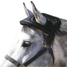Casque Cashel Horse Noir