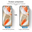 (4Pcs-Transparent, For Pixel 9 Pro) 4Pcs Protective Glass for Google Pixel 9 Pro XL 5G 7