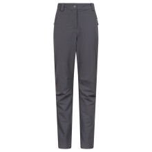 (18 UK, Dark Grey) Mountain Warehouse Womens/Ladies Arctic II Stretch Fleece Lined Regular Trousers
