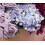 Design Master 762 Jardin, Jacinthe 3