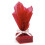 CELLO WRAP ROLL RED 2