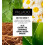Palladio Under Eyes Disguise Full Coverage Concealer, Grüner Tee, 0,35 Unzen 5