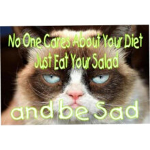 212 Main LPO2936 8 x 11 in. No One Cares About Your Diet Photo Parking Sign
