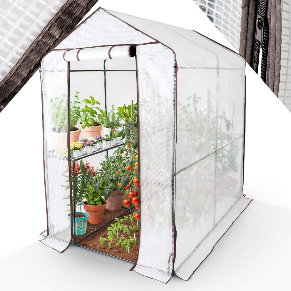 AREBOS Foil Greenhouse with 2 levels | 120 x 186 x 190 cm | Greenhouse with shelves | high-quality propagator garden