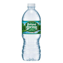 Nestle Waters 20 oz Poland Springs Spring Water - Pack of 24