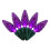 Celebrations Celebrations  Platinum LED String Lights, Purple - 100 Count 1