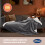 Silentnight Silentnight Snugsie Giant Blanket - Charcoal 2