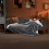 Silentnight Silentnight Snugsie Giant Blanket - Charcoal 1
