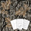 Redleg Camo Fall Woods Camo Stencil Kit 1