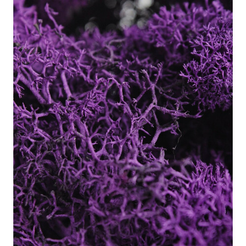 SuperMoss 7 59834 25124 8 Μύκητας, 80.75 Κύβος ίντσας (in3) Σακούλα (Περίπου 2oz), Μωβ 2