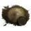 Eye Candy Premium MICA PIGMENT 3