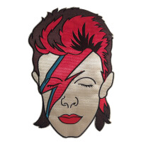 C&D Visionr David Bowie Aladdin Sane Groer Rckenaufnher
